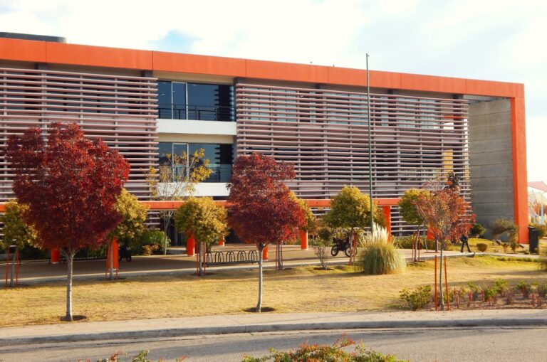 Lee más sobre el artículo Este jueves 19 de diciembre cobran el bono los beneficiarios del Plan de Inclusión