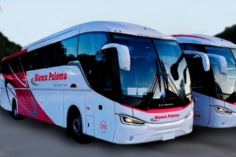 Lee más sobre el artículo Nuevo corredor de transporte público conecta localidades del norte provincial