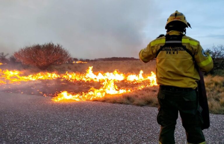 Lee más sobre el artículo Alertan por un alto riesgo de incendios forestales en San Luis