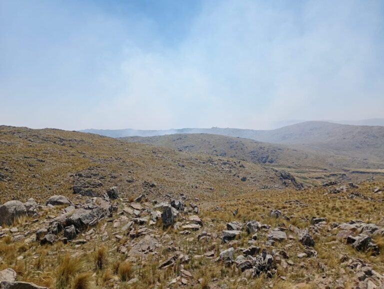Lee más sobre el artículo Trabajan para extinguir incendios forestales en distintos puntos de la provincia