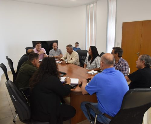 Lee más sobre el artículo San Luis impulsa campaña de vacunación contra la fiebre aftosa y medidas para potenciar la ganadería