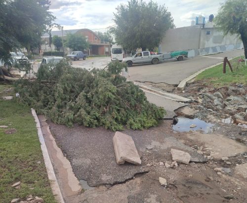 Lee más sobre el artículo Temporal en San Luis: Informe general de la situación tras las intensas precipitaciones