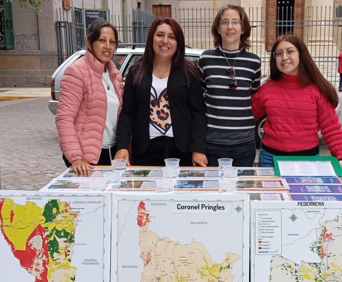 Lee más sobre el artículo Impulsan la plantación de árboles nativos para combatir el cambio climático