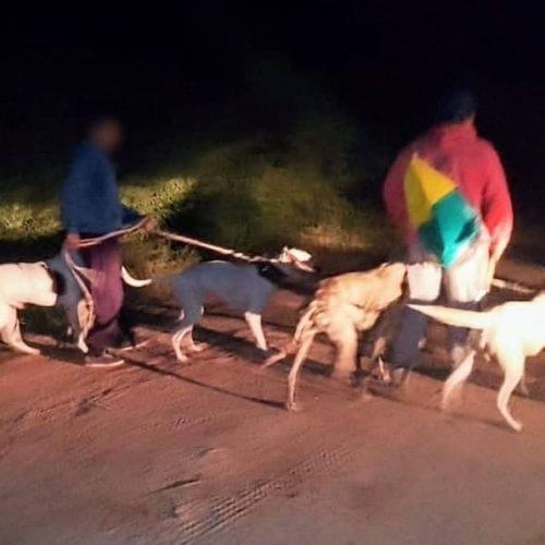 Lee más sobre el artículo Sorprenden a dos cazadores furtivos en el paraje Aguada de las Ánimas