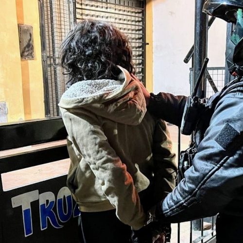 Lee más sobre el artículo San Luis: demoraron a una mujer por la sustracción de un teléfono celular