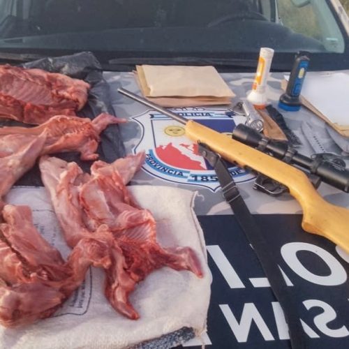 Lee más sobre el artículo Zanjitas: la Policía sorprendió a cazadores furtivos con animales silvestres faenados y un arma de fuego sin documentación