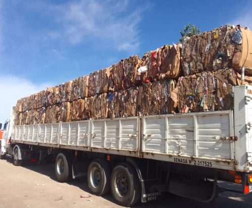 Lee más sobre el artículo San Luis refuerza su compromiso ambiental: ‘La Metropolitana’ reinsertó 26 toneladas de cartón a la economía circular