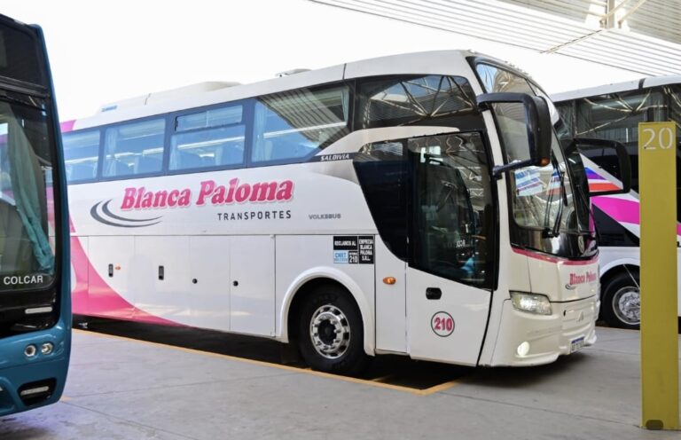 Lee más sobre el artículo Blanca Paloma sumará unidades 0 km en julio