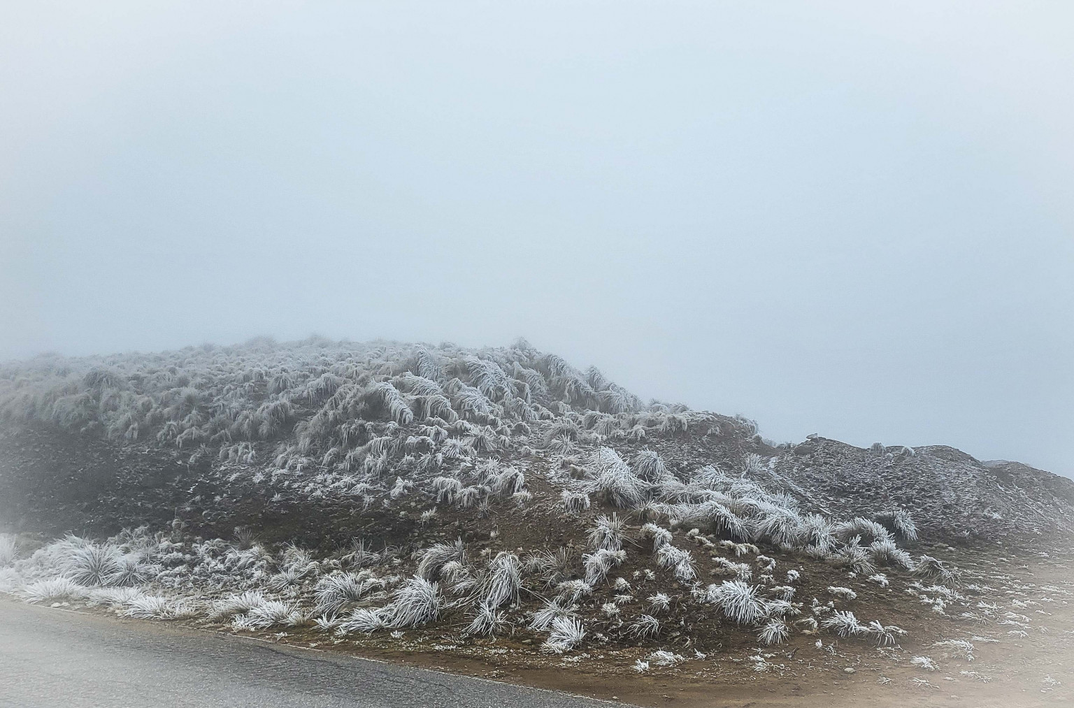 Lee más sobre el artículo Un frente frío podría traer nevadas a las zonas serranas este fin de semana
