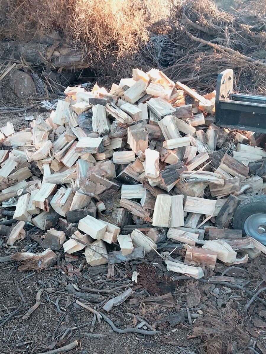 Lee más sobre el artículo Nueva entrega del Programa Leña Social: asistencia para comedores y familias vulnerables