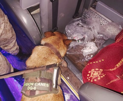 Lee más sobre el artículo Incautaron cocaína en un colectivo con hinchas de Independiente Rivadavia en Desaguadero