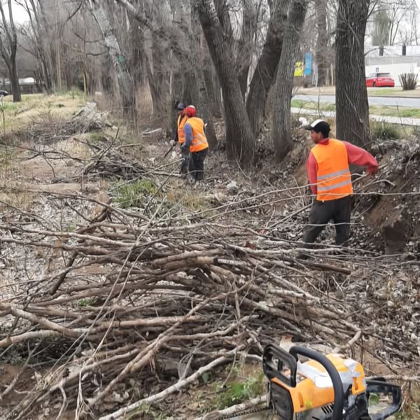 Lee más sobre el artículo Avanza el operativo de limpieza en el canal de avenida Jorge Newbery
