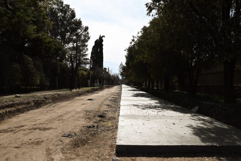 Lee más sobre el artículo Avanza la primera etapa de pavimentación de 70 cuadras en Villa Mercedes