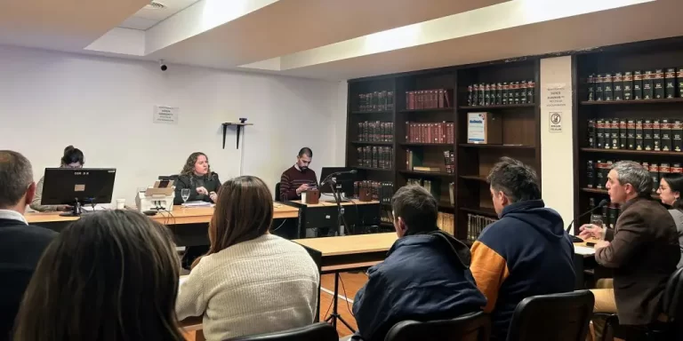 Lee más sobre el artículo Fiscalía imputó a dos hombres por el homicidio de Valentín Sosa en Juana Koslay