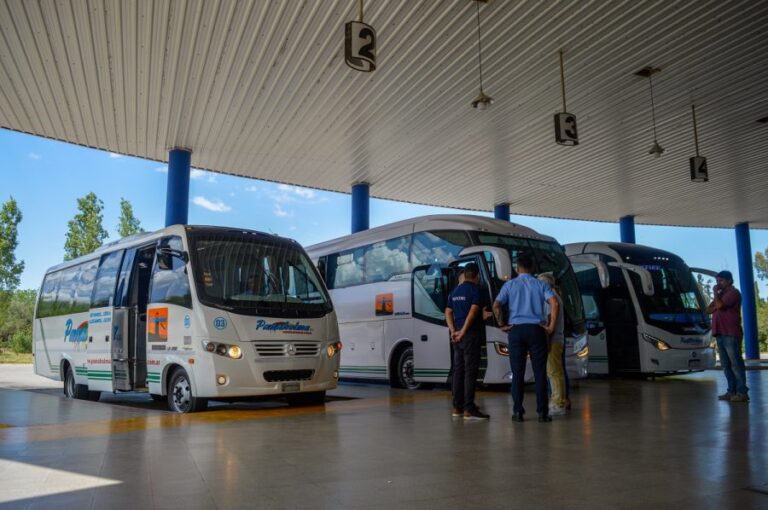 Lee más sobre el artículo San Luis avanza en la modernización del transporte: presentaron un colectivo cero kilómetro para el corredor Merlo–Papagayos