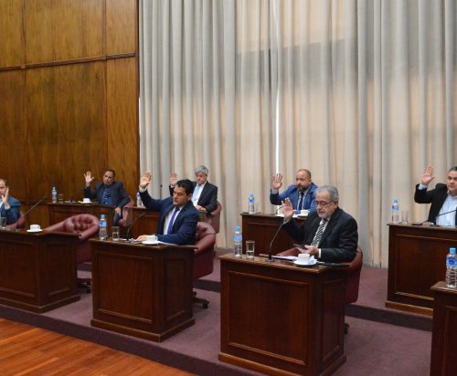 Lee más sobre el artículo El Senado dio media sanción a la reducción de la feria judicial en San Luis