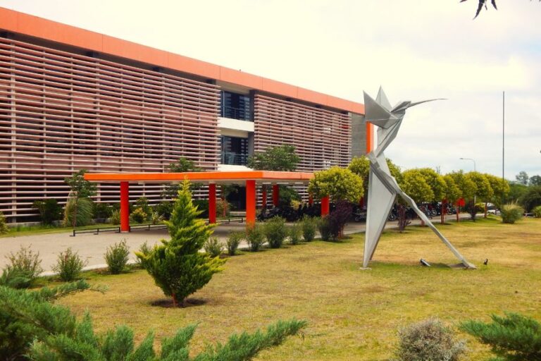 Lee más sobre el artículo Transferencias automáticas nacionales: San Luis registró una caída del 11,6% real en septiembre