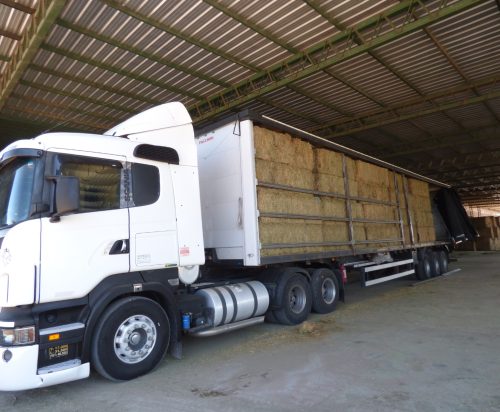 Lee más sobre el artículo AgroZAL exportó 95 toneladas de alfalfa a Brasil y consolidó su crecimiento agroindustrial