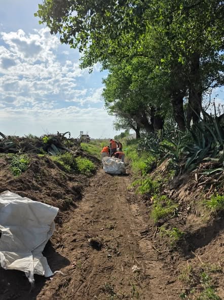 Lee más sobre el artículo Barrio Eva Perón: retiraron más de diez camiones y cinco bateas de residuos del canal Amaro Galán