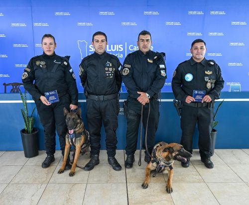 Lee más sobre el artículo Tres binomios caninos de San Luis fueron certificados por la Dirección Nacional de Cinotecnia