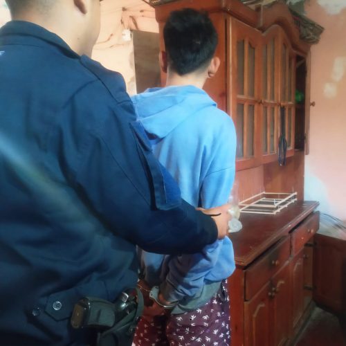 Lee más sobre el artículo Villa Mercedes: detienen a un joven de 21 años por robar en un comercio de decoración