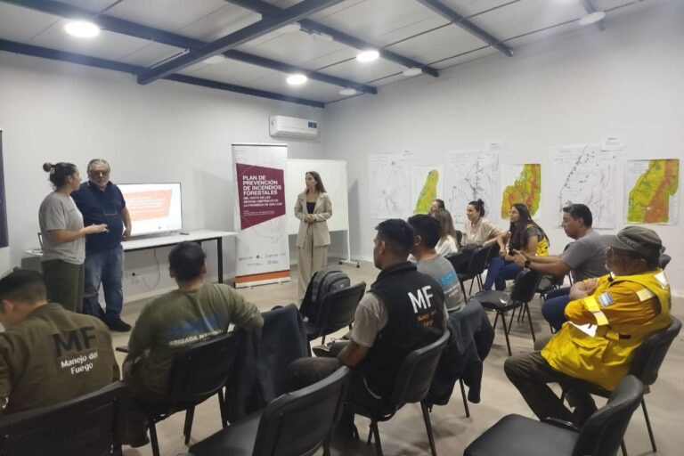 Lee más sobre el artículo El Servicio Nacional de Manejo del Fuego se suma al Plan de Prevención de Incendios Forestales