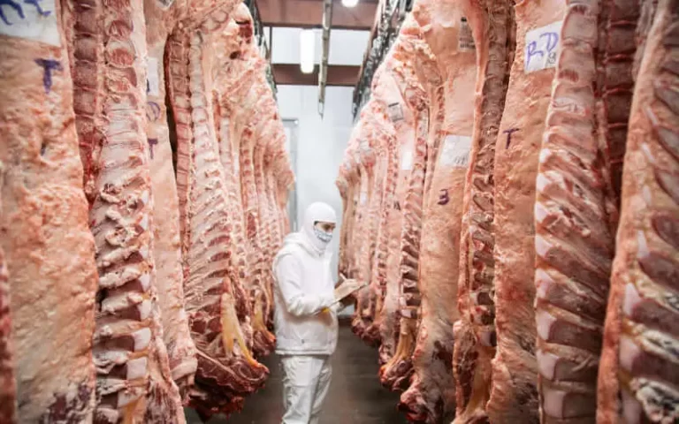 Lee más sobre el artículo El Gobierno formalizó distribución de carne vacuna a exportar a Estados Unidos