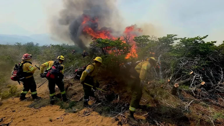 Lee más sobre el artículo Incendios en Chubut: afirman que “son cada vez más violentos y prolongados y requieren presencia del Estado”
