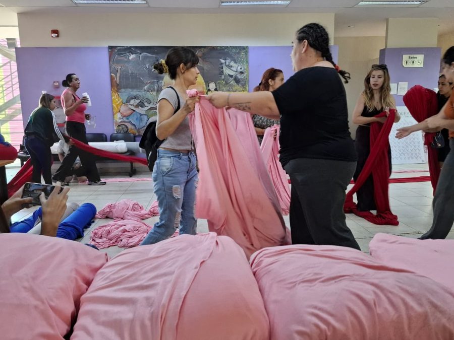 Lee más sobre el artículo Entregaron insumos de trabajo a emprendedoras del PIA para potenciar sus proyectos