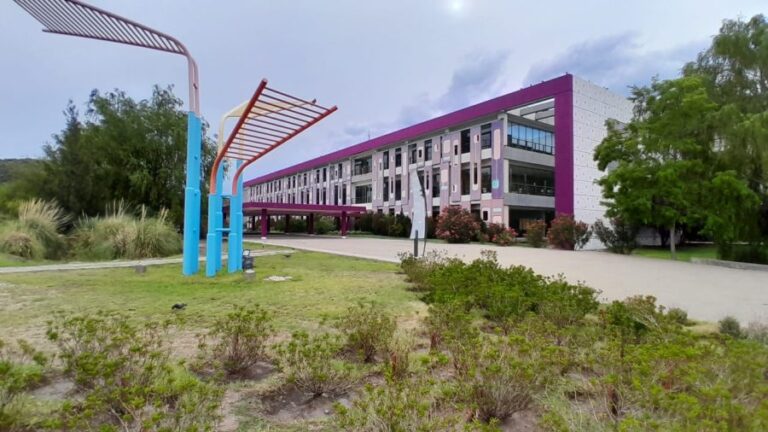 Lee más sobre el artículo Siete institutos iniciarán un proceso de evaluación para certificar su calidad institucional