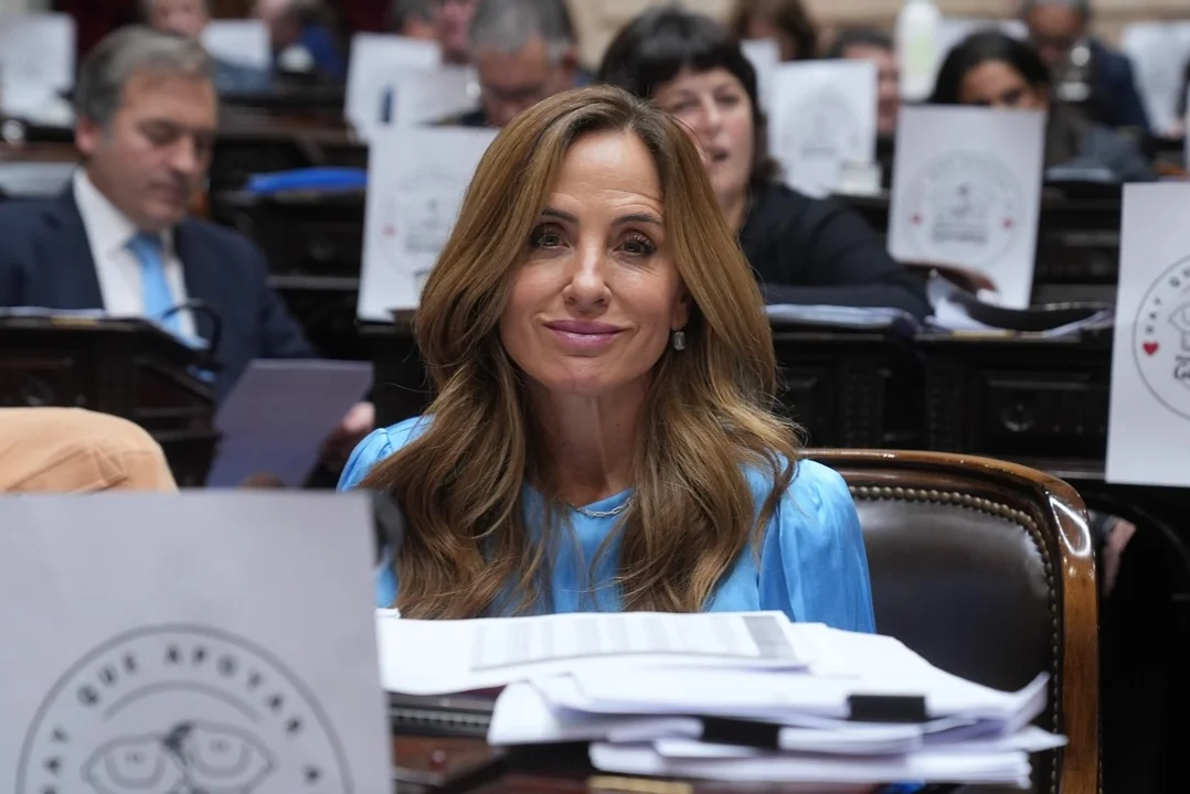 Lee más sobre el artículo 27 legisladores de la oposición reclamaron activar la evacuación de argentinos varados en zonas de conflicto