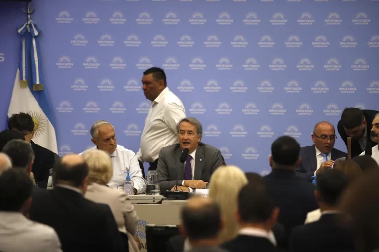 Lee más sobre el artículo Tras una primera jornada tensa, la audiencia por la Ley de Glaciares continúa mañana su recorrido en Diputados