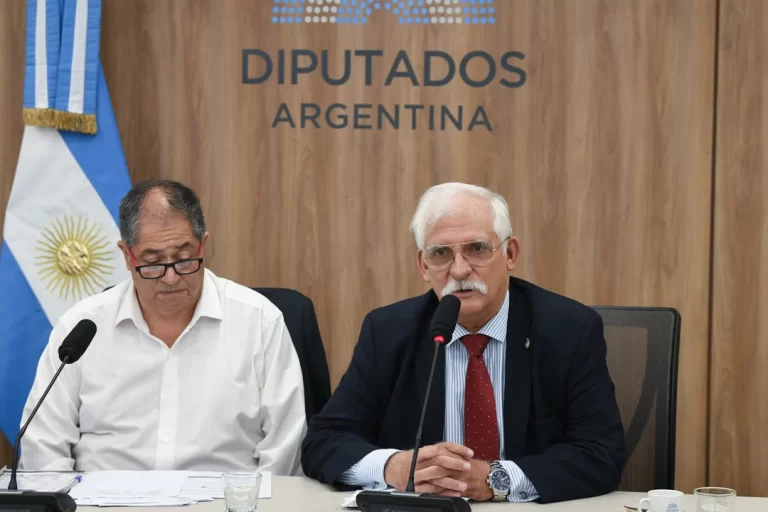 Lee más sobre el artículo Diputados: cómo quedaron constituidas las comisiones