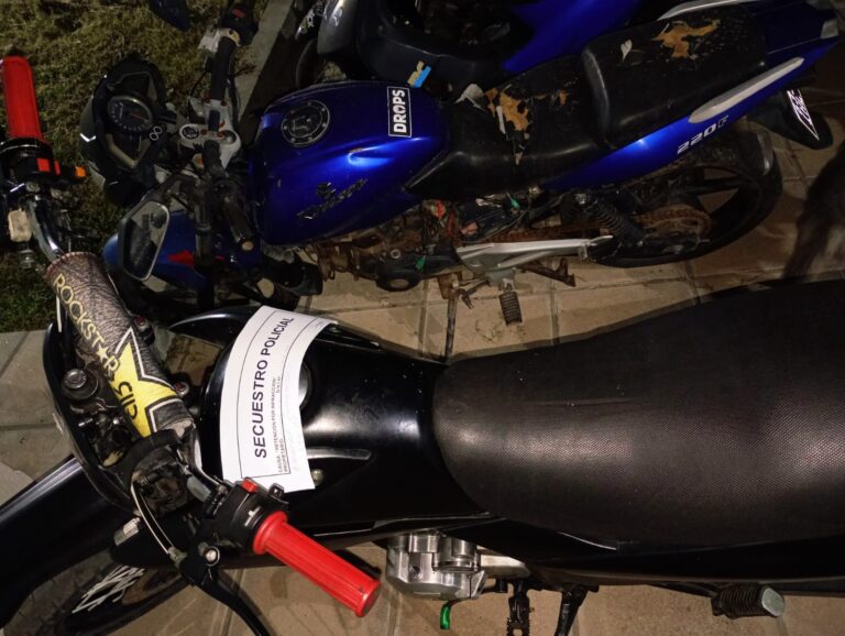 Lee más sobre el artículo Importante operativo de control vehicular en El Trapiche: más de 20 mil personas identificadas