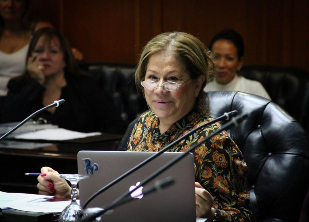 Lee más sobre el artículo En la audiencia por la ley de Glaciares, Camaño advirtió que la actual norma “es el piso mínimo y no puede reducirse”