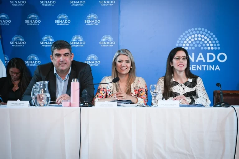 Lee más sobre el artículo Salud pide al Senado aprobar cambios que habilitan internaciones involuntarias y priorizan evaluación médica