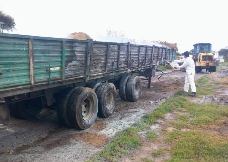 Lee más sobre el artículo San Luis: sofocaron el incendio de un semirremolque en una planta recicladora