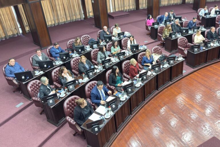 Lee más sobre el artículo Diputados dio media sanción a la modificación de la Ley de Amparo