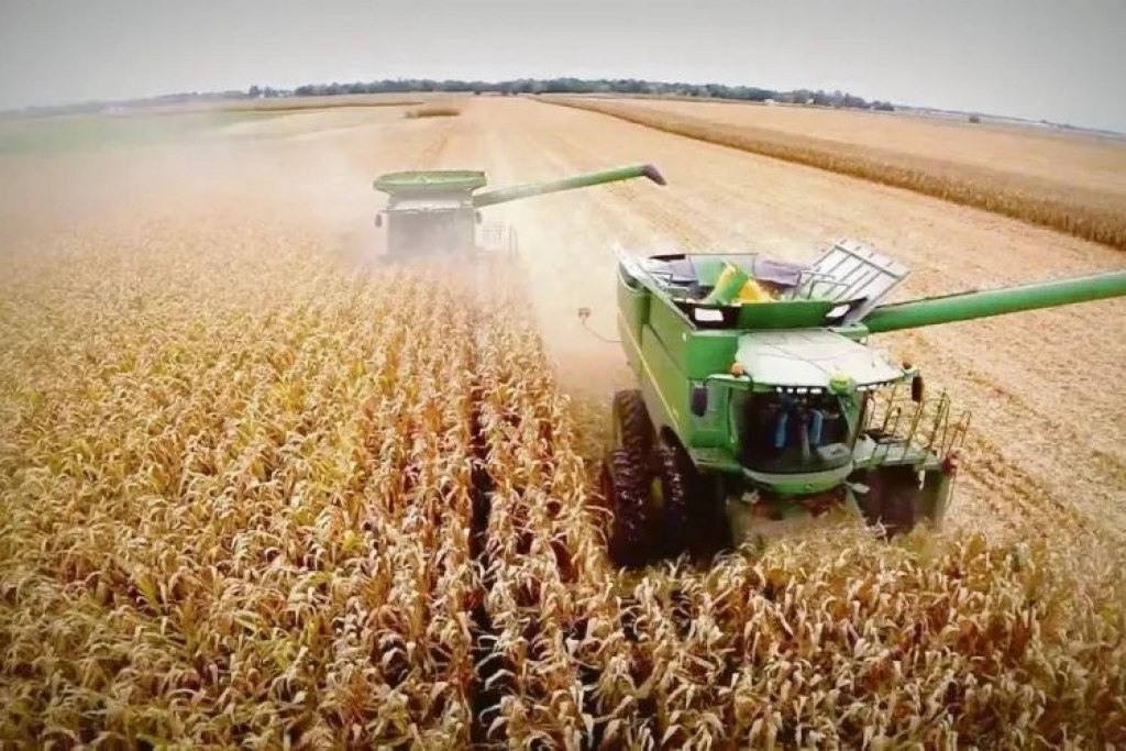 Lee más sobre el artículo El Estado se queda con el 62,5% de la renta agrícola y la Guerra de Medio Oriente impactó en los costos