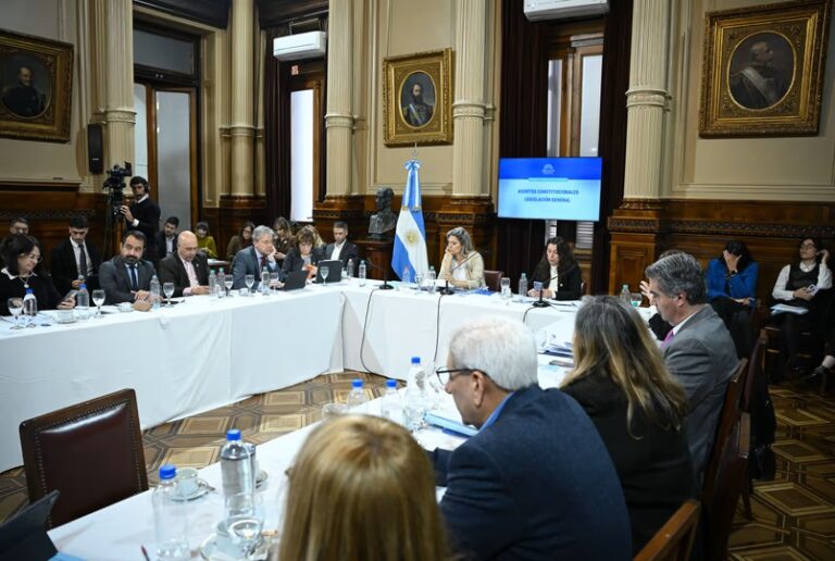 Lee más sobre el artículo Senado avanza con la reforma de salud mental que habilita internaciones “no voluntarias” e incorpora como enfermedad adicciones
