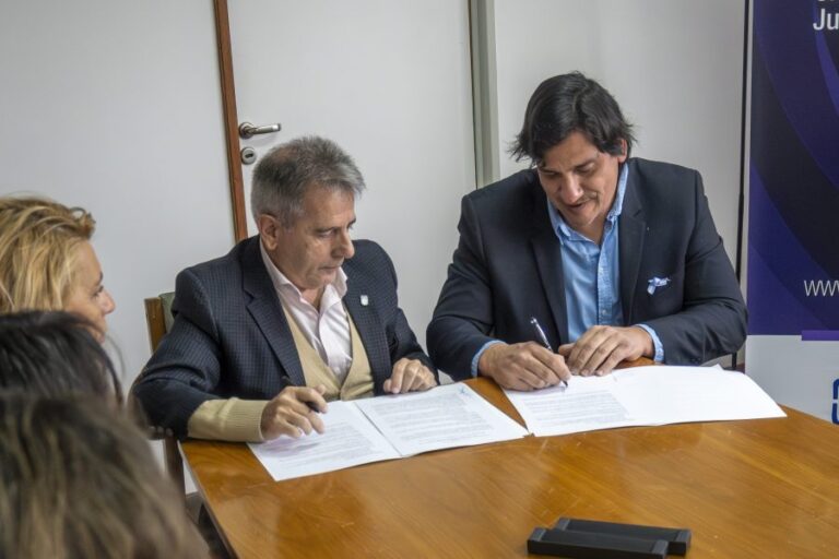 Lee más sobre el artículo Estudiantes de la UNSL realizarán prácticas preprofesionales en la secretaría de Personas con Discapacidad