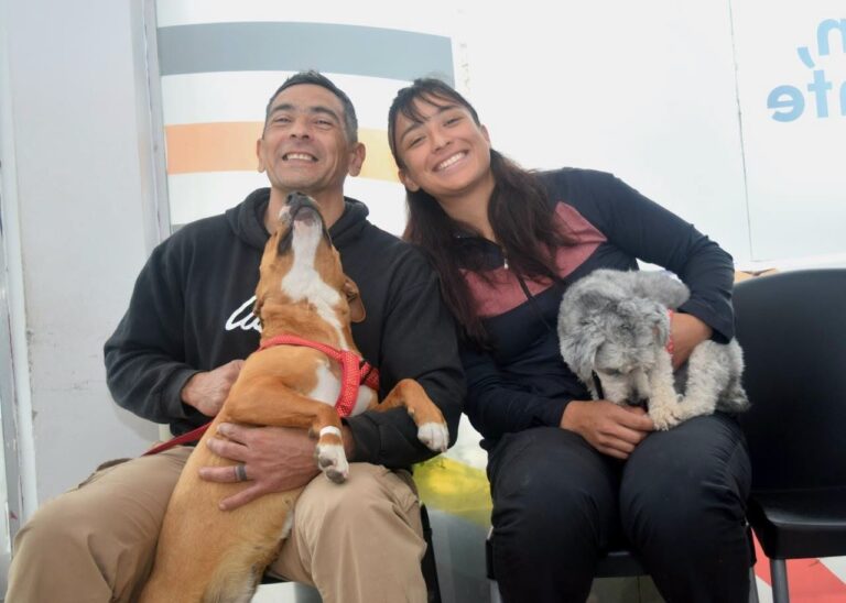 Lee más sobre el artículo Realizaron una jornada gratuita de castraciones para perros y gatos