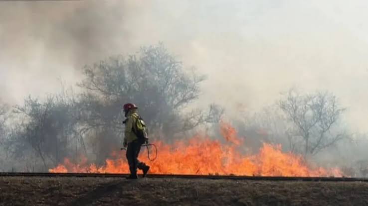 Lee más sobre el artículo Salta: intentaba sofocar un incendio forestal y murió