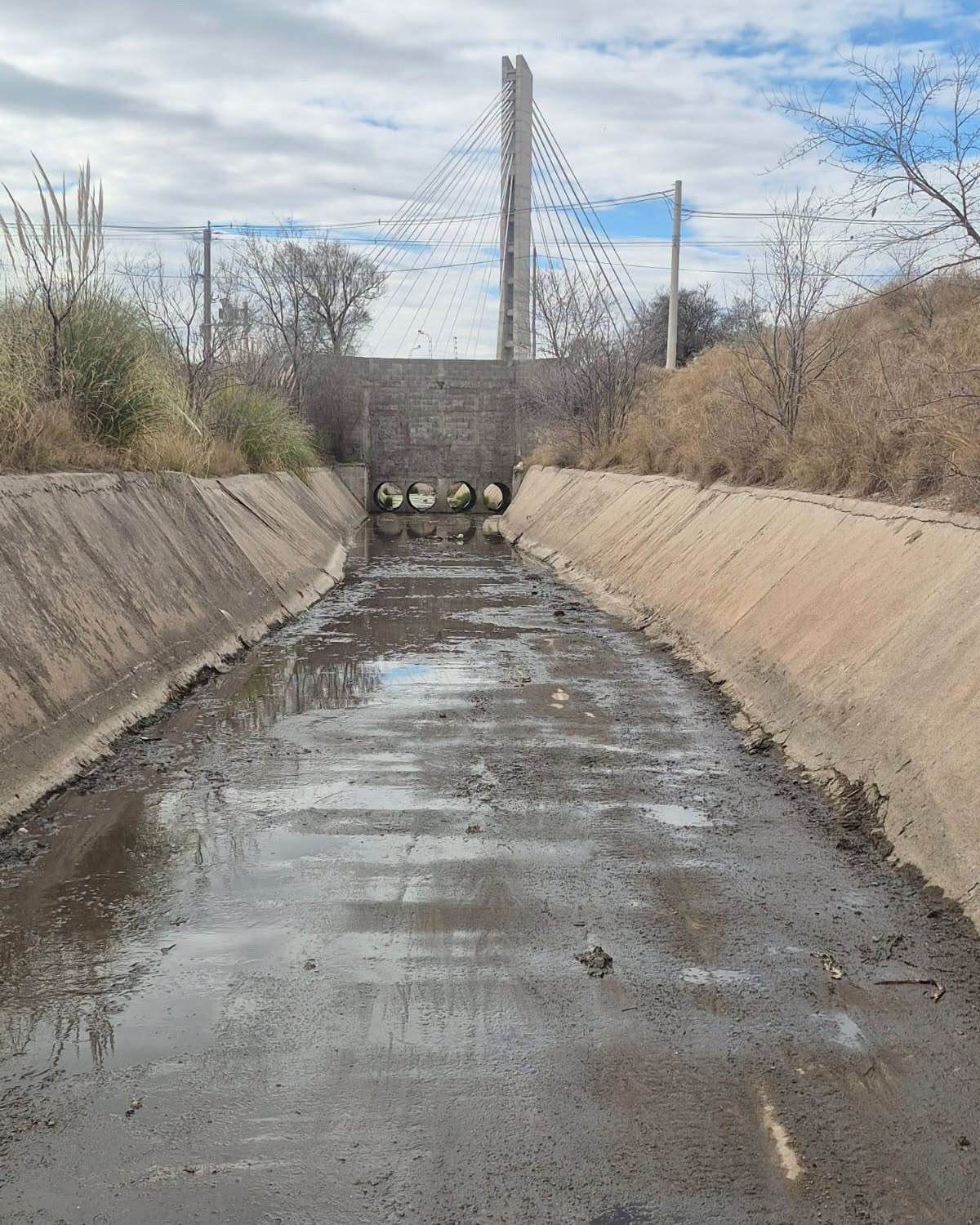 En este momento estás viendo Mantenimiento y limpieza del canal de desagote de La Ribera