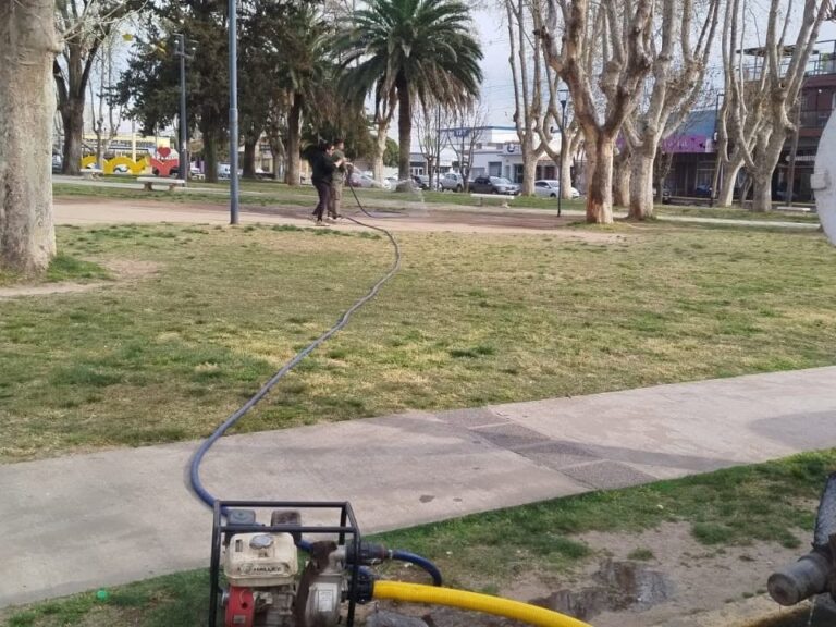 Lee más sobre el artículo Plan de Ordenamiento Verde: mantenimiento en plaza Sarmiento y espacios verdes del barrio Las Mirandas