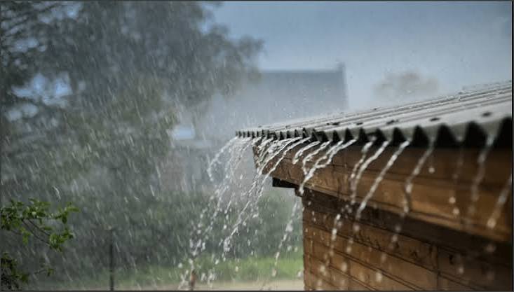 Lee más sobre el artículo San Luis: anticipan lluvias y tormentas durante todo el fin de semana